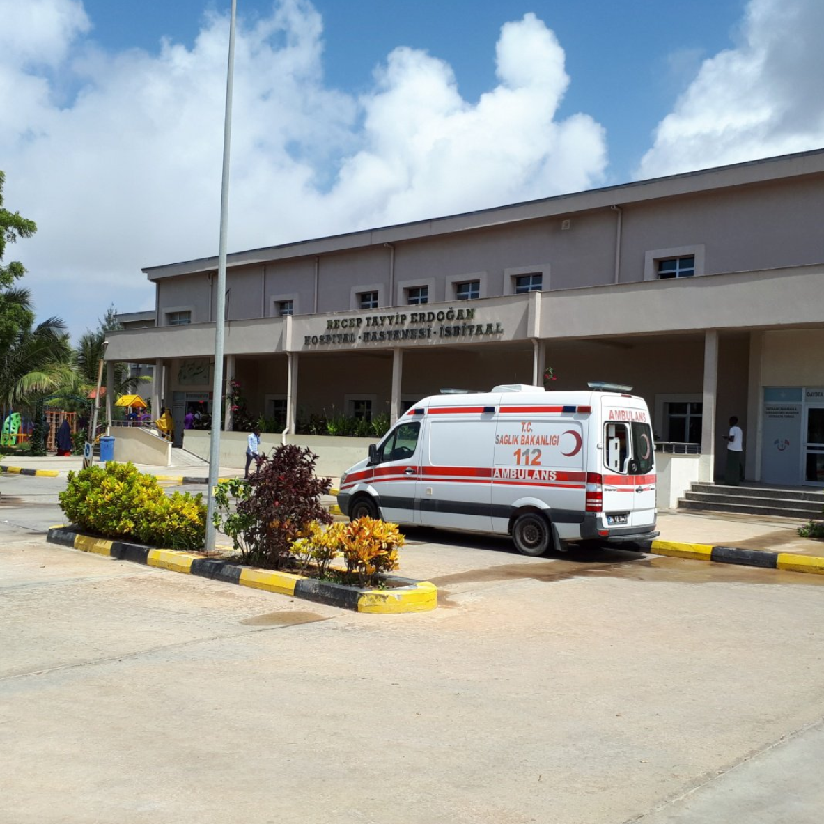 Digfer Hospital